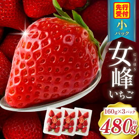 【ふるさと納税】【苺ファーム森本】女峰いちご　小パック160g×3パック　≪IDOMALL　セレクト≫ スイーツ いちご ストロベリー 女峰 苺 ジャム いちごジャム フルーツ 旬 果物 香川県 デザート 青果物 贈答 プレゼント 贈り物 おすすめ