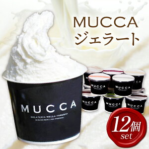 yӂ邳Ɣ[Łz137@MUCCAWF[g 12Zbg WF[g 12 MUCCA TZbg~N ACX fU[g XC[c q炿 쌧 Oؒ