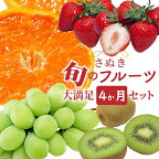 定期便 フルーツ 4回 大満足 いちご みかん シャインマスカット キウイ 1066