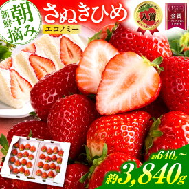 【ふるさと納税】【先行予約】【内容量が選べる】苺音エコノミー ～さぬきひめいちごがいっぱい～ 約640g ～3840g おすすめ 人気 果実 果肉 果物 フルーツ デザート 贈り物 苺 さぬきひめ 贈答 ご褒美 ギフト 旬の果物 季節の果物 旬 季節 青果物 香川県 三木町 送料無料