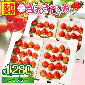 【ふるさと納税】【先行予約】苺音エコノミー ～さぬきひめいちごがいっぱい～ いちご 約1,280g おすすめ 人気 果実 果肉 果物 フルーツ デザート 贈り物 苺 さぬきひめ 贈答 ご褒美 ギフト 旬の果物 季節の果物 旬 季節 青果物 香川県 三木町 送料無料