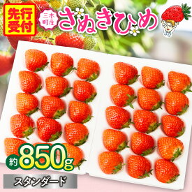 【ふるさと納税】【先行予約】苺音スタンダード～春の大粒のさぬきひめいちご～ 約850g スイーツ いちご ストロベリー さぬきひめ 大粒いちご 苺 冷蔵 フルーツ 旬 果物 香川県 デザート 青果物 先行受付 先行予約 季節限定 おすすめ 特産品 香川県産 冷蔵 三木町 送料無料