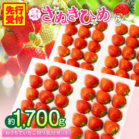 【ふるさと納税】【先行予約】『苺音ファームの』おうちでいちご狩り気分セット約1.7kg イチゴ フルーツ 旬のいちご 旬 果物 デザート 旬の果物 果実 ご褒美 季節 甘い 国産 ギフト お取り寄せ 贈答 贈り物 プレゼント ふるさと おすすめ 香川県 三木町 送料無料