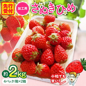 【ふるさと納税】【2026年発送分 先行受付】苺音クラフト〜加工用さぬきひめいちご約2kg スイーツ いちご 青果物 果汁 果肉 旬の果物 ストロベリー さぬきひめ 苺 冷蔵 フルーツ 旬 果物 香川県 デザート 青果物 先行予約 季節限定 旬 おすすめ 三木町 送料無料
