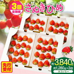 yӂ邳Ɣ[Łzy2026N stz䕉GRm~[@`ʂЂ߂1,280g`3  lC ʎ ʓ ʕ t[c fU[g 蕨  ʂЂ  J Mt