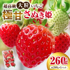 【ふるさと納税】超高級大粒いちご 極甘さぬき姫260g×1パック(ハンモックトレー)　いちご 大粒 高級 さぬき姫 果物 フルーツ おすすめ 旬 イチゴ 季節 旬の果物 ギフト パック 果実 贈り物 デザート 人気 果肉 生鮮食品 国産 冷蔵 香川県 三木町