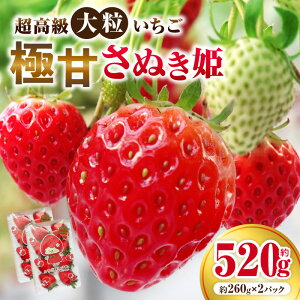 yӂ邳Ɣ[Łz嗱 ɊÂʂP260g×2pbN(nbNg[)@ 嗱  ʂP ʕ t[c  { C`S G {̉ʕ Mtg pbN ʎ 蕨 f