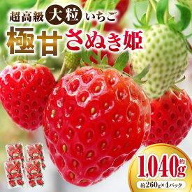 【ふるさと納税】超高級大粒いちご 極甘さぬき姫260g×4パック(ハンモックトレー)　いちご 大粒 高級 さぬき姫 果物 フルーツ おすすめ 旬 イチゴ 季節 旬の果物 ギフト パック 果実 贈り物 デザート 人気 果肉 生鮮食品 国産 冷蔵 香川県 三木町