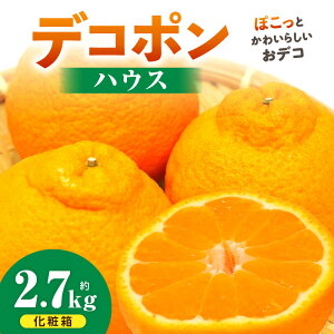 yӂ邳Ɣ[ŁzfR|(nEX) ϔ2.7kg fR| ݂ t[c ʕ { k fU[g  { {̉ʕ  lC fU[g NHi ʎ  p 蕨 k