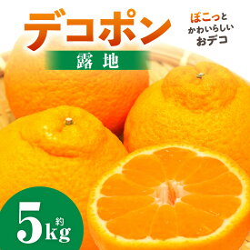 【ふるさと納税】デコポン(露地) 5kg デコポン みかん フルーツ 果物 旬 柑橘 デザート お裾分け 旬 旬の果物 おすすめ 人気 デザート 生鮮食品 果実 お取り寄せ 贈答用 贈り物 柑橘類 季節 季節の果物 柑橘系 香川県 三木町