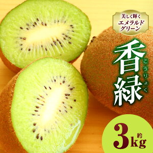 yӂ邳Ɣ[ŁzLECt[c() 3.0kg LEC t[c ʕ { {̉ʕ LECt[c fU[g NHi 蕨    lC Mtg O Yi ʓ G G