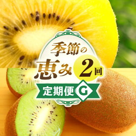 【ふるさと納税】季節の恵み2回定期便G 果物 フルーツ 定期便 フルーツ定期便 果物定期便 旬 旬の果物 旬のフルーツ 旬の定期便 果実 果汁 デザート スイーツ キウイ キウイフルーツ ゴールドキウイ 厳選 贈り物 贈答 ギフト ご褒美 香川県 三木町