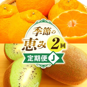 yӂ邳Ɣ[ŁzG߂̌b2J ʕ {̉ʕ ʕ {̃t[c t[c t[c   ʏ` ʎ fU[g XC[c Mtg 蕨  Mtg lC 