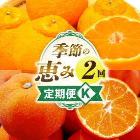 【ふるさと納税】季節の恵み2回定期便K 果物 フルーツ 定期便 定期 果物定期便 フルーツ定期便 旬の果物 旬のフルーツ 旬の定期便 人気 おすすめ 厳選 ギフト 贈り物 贈答 デコポン みかん 果実 果汁 デザート スイーツ 香川県 三木町 送料無料