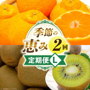 yӂ邳Ɣ[ŁzG߂̌b2L ʕ t[c  ʕ t[c {̉ʕ {̒ {̃t[c  {̉ʕ  lC  I Mtg  