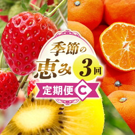 【ふるさと納税】季節の恵み3回定期便C 果物 フルーツ 青果 青果物 デザート スイーツ 果実 旬 季節 旬の果物 季節の果物 生鮮食品 生鮮 贈答 贈り物 ギフト プレゼント おすそ分け ご褒美 人気 グルメ お取り寄せ 特産品 特産 国産 香川県 三木町