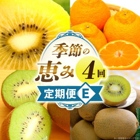 【ふるさと納税】季節の恵み4回定期便E 果物 フルーツ 青果 青果物 デザート スイーツ 果実 旬 季節 旬の果物 季節の果物 生鮮食品 生鮮 贈答 贈り物 ギフト プレゼント おすそ分け ご褒美 人気 グルメ お取り寄せ 特産品 特産 国産 香川県 三木町