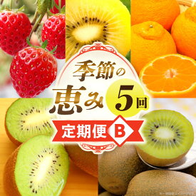 【ふるさと納税】季節の恵み5回定期便B 果物 フルーツ 青果 青果物 デザート スイーツ 果実 旬 季節 旬の果物 季節の果物 生鮮食品 生鮮 贈答 贈り物 ギフト プレゼント おすそ分け ご褒美 人気 グルメ お取り寄せ 特産品 特産 国産 香川県 三木町