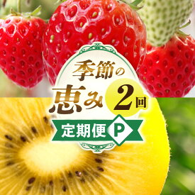 【ふるさと納税】季節の恵み2回定期便P 果物 フルーツ 青果 青果物 デザート スイーツ 果実 旬 季節 旬の果物 季節の果物 生鮮食品 生鮮 贈答 定期便 果物定期便 フルーツ定期便 贈り物 ギフト プレゼント おすそ分け ご褒美 人気 グルメ お取り寄せ 国産 香川県 三木町