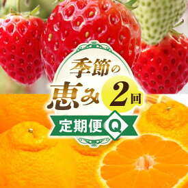 【ふるさと納税】季節の恵み2回定期便Q 果物 フルーツ 青果 青果物 デザート スイーツ 果実 旬 季節 旬の果物 季節の果物 生鮮食品 生鮮 贈答 定期便 果物定期便 フルーツ定期便 贈り物 ギフト プレゼント おすそ分け ご褒美 人気 グルメ お取り寄せ 国産 香川県 三木町