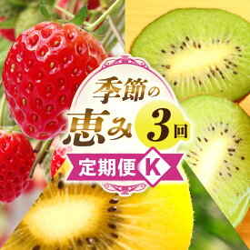 【ふるさと納税】季節の恵み3回定期便K 果物 フルーツ 青果 青果物 デザート スイーツ 果実 旬 季節 旬の果物 季節の果物 生鮮食品 生鮮 贈答 贈り物 ギフト プレゼント おすそ分け ご褒美 人気 グルメ お取り寄せ 特産品 特産 国産 香川県 三木町