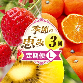 【ふるさと納税】季節の恵み3回定期便L 果物 フルーツ 青果 青果物 デザート スイーツ 果実 旬 季節 旬の果物 季節の果物 生鮮食品 生鮮 贈答 贈り物 ギフト プレゼント おすそ分け ご褒美 人気 グルメ お取り寄せ 特産品 特産 国産 香川県 三木町