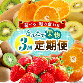 【ふるさと納税】＼選べる組み合わせ／とれたて果物 3回定期便 果物 フルーツ 果物定期便 フルーツ定期便 定期便 3回 いちご キウイ デコポン ゴールドキウイ みかん 濃厚 旬の果物 定期 人気 おすすめ 贈答 贈り物 青果物 糖度 香川県 三木町 送料無料
