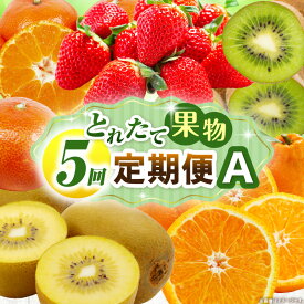 【ふるさと納税】とれたて果物 5回定期便A 果物 フルーツ 果物定期便 フルーツ定期便 定期便 5回 いちご キウイ デコポン ゴールドキウイ みかん 濃厚 旬の果物 定期 人気 おすすめ 贈答 贈り物 青果物 糖度 香川県 三木町 送料無料