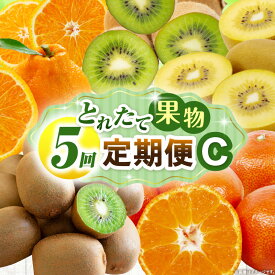 【ふるさと納税】とれたて果物 5回定期便C 果物 フルーツ 果物定期便 フルーツ定期便 定期便 5回 キウイ デコポン みかん 濃厚 旬の果物 5回定期便 ギフト お裾分け ギフト 旬 果汁 果肉 定期 人気 おすすめ 贈答 贈り物 青果物 糖度 香川県 三木町 送料無料