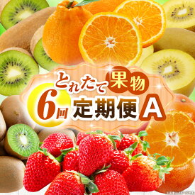 【ふるさと納税】とれたて果物 6回定期便A 果物 フルーツ 果物定期便 フルーツ定期便 定期便 6回 いちご キウイ デコポン ゴールドキウイ みかん 濃厚 旬の果物 定期 人気 おすすめ 贈答 贈り物 青果物 糖度 香川県 三木町 送料無料