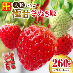 yӂ邳Ɣ[Łz嗱 ɊÂʂP 260g  ʕ t[c  {̉ʕ lC  蕨   쌧Y fU[g pbN ① XC[c ʂP ӂ邳 G G