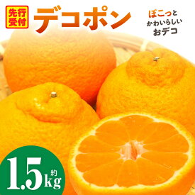 【ふるさと納税】デコポン「中晩かん」瀬戸内の果汁溢れるみかん 不知火（デコポン）約1.5kg デコポン みかん フルーツ 果物 旬 柑橘 デザート お裾分け 旬 旬の果物 おすすめ 人気 デザート 果実 お取り寄せ 贈答用 贈り物 柑橘類 季節 季節の果物 柑橘系 香川県 三木町