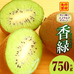 yӂ邳Ɣ[ŁzLEC ΂N₩  750g LEC t[c ʕ { {̉ʕ LECt[c fU[g NHi 蕨    lC Mtg O Yi 