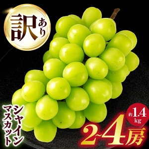 yӂ邳Ɣ[Łz_IׂzN^ Ԍ s\ 󂠂VC}XJbg 1.4kg 2`4[ VC }XJbg Ԃǂ ʕ ʎ ʏ` lC  VC}XJbg t[c