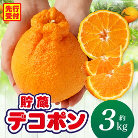 【ふるさと納税】貯蔵デコポン約3kg(8～16玉)【香川県共通返礼品】デコポン 甘い 酸味 柑橘 柑橘系 果物 フルーツ グルメ 果汁 貯蔵 酸味 人気 お裾分け デザート おすすめ 贈答 贈り物 贈答用 ギフト 特産品 特産 取り寄せ 香川県 三木町 送料無料