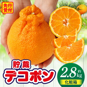 yӂ邳Ɣ[ŁzfR|2.8kgϔ(7`12)y쌧ʕԗiz | fR| Â _ k kn ʕ t[c  fU[g O   蕨 p Mtg v[