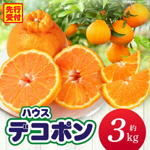 yӂ邳Ɣ[ŁznEXfR|3kgi8-16ʁjy쌧ʕԗiz fR| Â _ k kn ʕ t[c  fU[g O   蕨 p Mtg v[g 