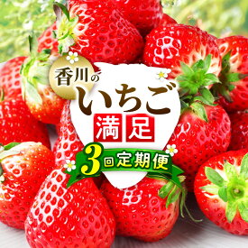 【ふるさと納税】香川のいちご満足3回定期便 いちご 定期便 果物 フルーツ デザート ストロベリー 果肉 スイーツ 甘い 国産 贈り物 贈答 プレゼント グルメ いちご定期便 フルーツ定期便 人気 おすすめ 果物定期便 季節 旬 旬の果物 香川県 三木町