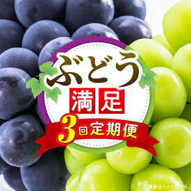 【ふるさと納税】ぶどう満足 3回定期便 ぶどう 定期便 果物 フルーツ デザート ピオーネ シャインマスカット マスカット 果肉 スイーツ 甘い 国産 贈り物 贈答 プレゼント ぶどう定期便 フルーツ定期便 人気 おすすめ 果物定期便 旬の果物 香川県 三木町 送料無料