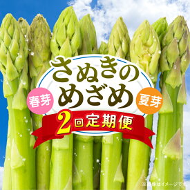 【ふるさと納税】さぬきのめざめ定期便 野菜 定期便 アスパラ アスパラガス さぬきのめざめ 料理 柔らかい 濃い 春 夏 シャキシャキ 食感 冷蔵 新鮮 セミロング おすすめ 旬の野菜 季節の野菜 贈答 贈り物 ギフト 化粧箱 取り寄せ 香川県 三木町 送料無料