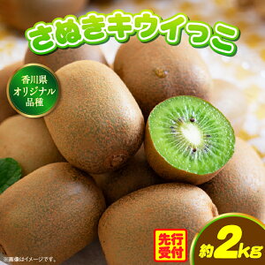 yӂ邳Ɣ[Łz쌧IWiLECt[cuʂLECv2kgy쌧ʕԗiz LEC LECt[c ʕ t[c  ʕ ʂLEC ʎ  蕨 