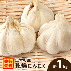 yӂ邳Ɣ[ŁzOؒYɂɂ 1.0kg   Hi jjN  ܂ ɂɂ ƒp   Y Yɂɂ Ăɂɂ 퉷 Z ۑ p ƒp 
