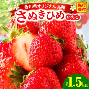 yӂ邳Ɣ[ŁzOؒn悢uʂЂ߁v1.5kg ʕ t[c  fU[g C`S {  O G Mtg ʓ lC  XC[c AW NHi W