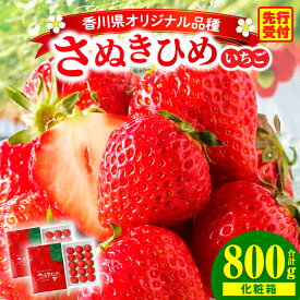 【ふるさと納税】三木町地域いちご部会『さぬきひめ』 400g（化粧箱入）×2箱 果物 フルーツ 苺 デザート 食後のデザート イチゴ 旬 おすすめ グルメ 季節 ギフト 果肉 農産物 おすそ分け アレンジ 旬の果物 贈答 贈り物 果実 パック 国産 冷蔵 香川県 三木町 送料無料
