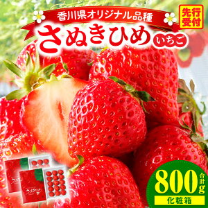 yӂ邳Ɣ[ŁzOؒn悢wʂЂ߁x 400giϔj×2 ʕ t[c  fU[g H̃fU[g C`S {  O G Mtg ʓ _Y  A