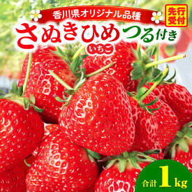 【ふるさと納税】三木町地域いちご部会『さぬきひめ』 つる付き 1kg 果物 フルーツ 苺 デザート 食後のデザート イチゴ 旬 おすすめ グルメ 季節 ギフト 果肉 おすそ分け アレンジ 生鮮食品 いちごジャム 旬の果物 贈答 贈り物 果実 青果物 パック 国産 冷蔵 香川県 三木町