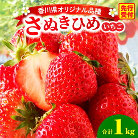 【ふるさと納税】三木町地域いちご部会「さぬきひめ」1.0kg 果物 フルーツ 苺 デザート イチゴ 旬 おすすめ グルメ 季節 ギフト 果肉 おすそ分け アレンジ いちごジャム 旬の果物 贈答 贈り物 果実 青果物 パック 国産 おすすめ 人気 ふるさと 冷蔵 香川県 三木町 送料無料