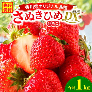 yӂ邳Ɣ[ŁzOؒn悢uʂЂ߁v1kgDXpbN ʕ t[c  fU[g C`S {  O G Mtg ʓ _Y  AW NHi {̉ʕ 