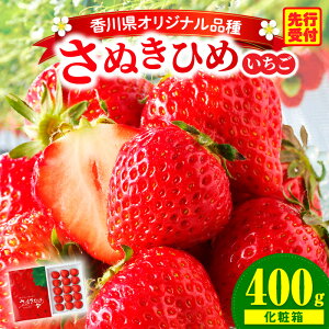 yӂ邳Ɣ[ŁzOؒn悢wʂЂ߁x 400giϔj  Xgx[ C`S ʂP ʂЂ  Â ① t[c { ʕ 쌧 fU[g ʕ  v
