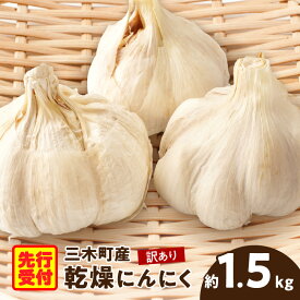 【ふるさと納税】【先行予約】三木町産訳あり乾燥にんにく 約1.5kg にんにくニンニク ガーリック 野菜 食材 肉厚 訳あり 訳ありにんにく 乾燥にんにく 濃厚 長期保存 乾燥 自宅用 家庭用 薬味 料理 スタミナ料理 栄養 香川県 三木町 おすすめ 人気 送料無料